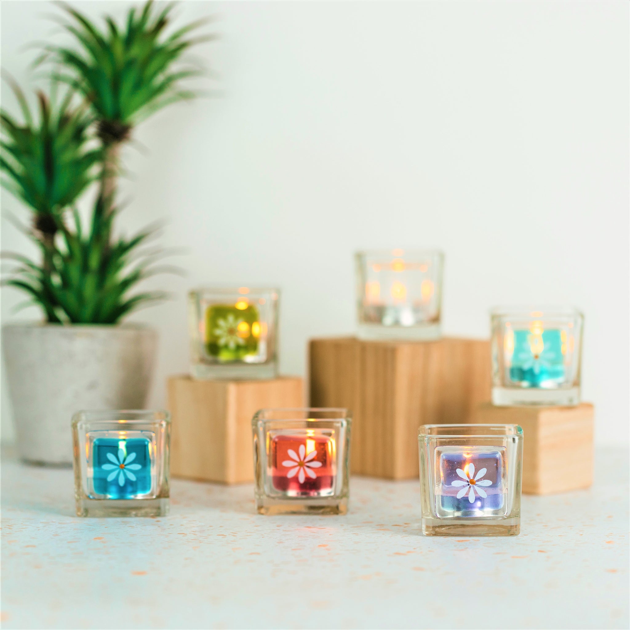 Little Daisy T-Lights - Set of 6